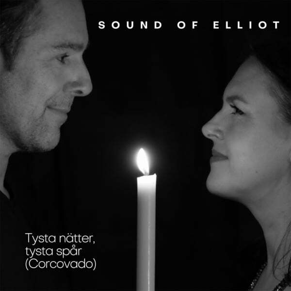 Cover art for Tysta nätter, tysta spår (Corcovado)